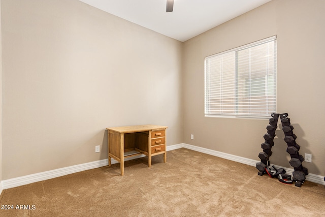 interior space with carpet