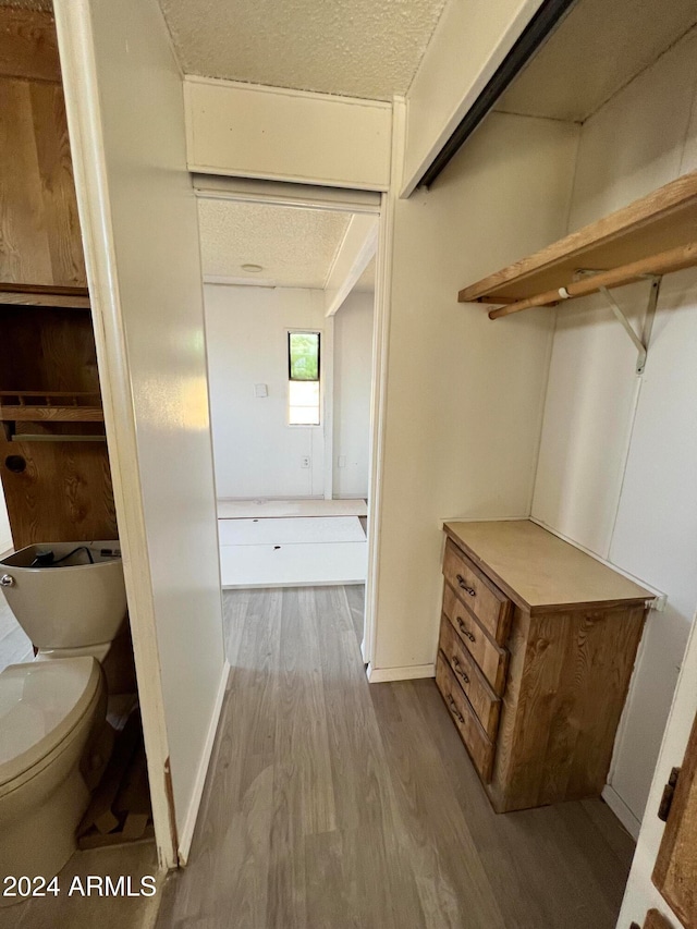 spacious closet featuring light hardwood / wood-style floors