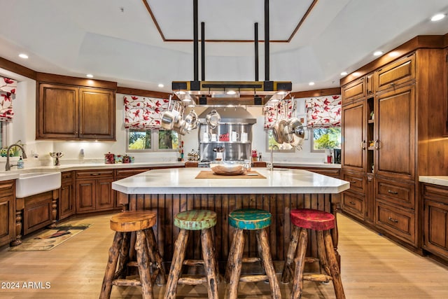 kitchen featuring sink, a kitchen island with sink, and light wood-type flooring