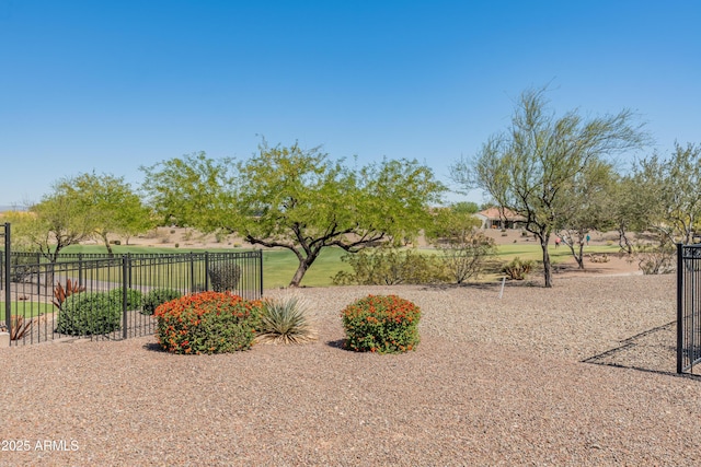 20506 N 271st Ave, Buckeye, AZ 85396 - view of yard featuring fence