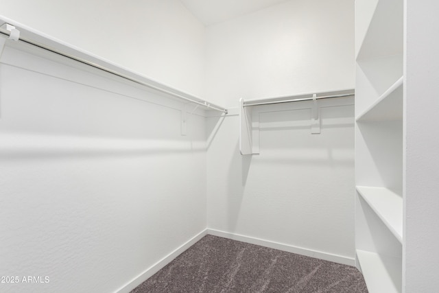 spacious closet with carpet flooring