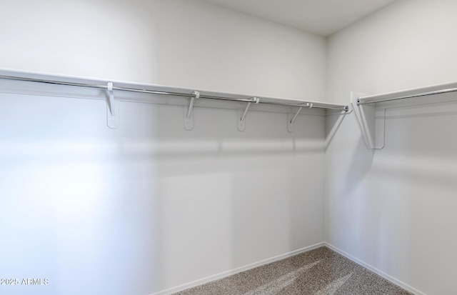 walk in closet featuring carpet