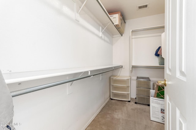 spacious closet with light colored carpet