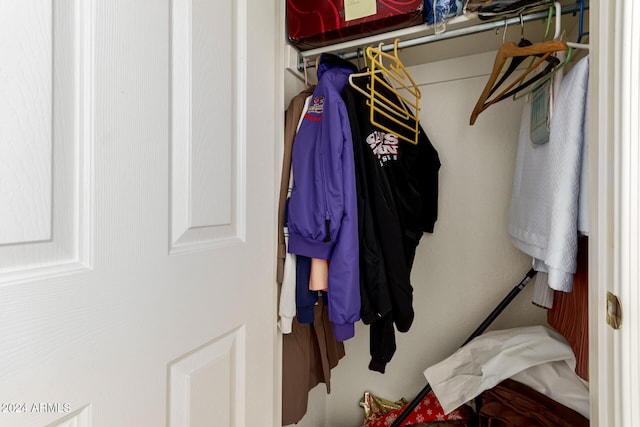 view of closet