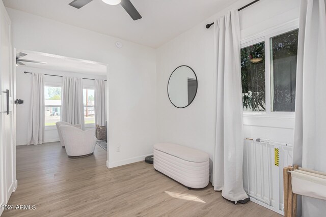 interior space featuring radiator, light hardwood / wood-style floors, and ceiling fan