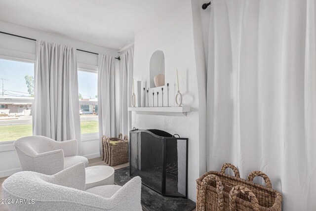 sitting room featuring wood-type flooring and plenty of natural light