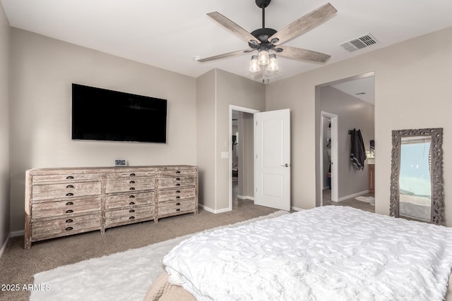 11658 E Chevelon Trl, Gold Canyon, AZ 85118 - bedroom with carpet floors, a walk in closet, and baseboards