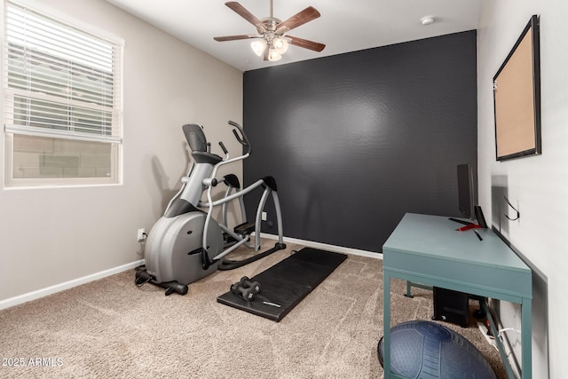11658 E Chevelon Trl, Gold Canyon, AZ 85118 - exercise area with a ceiling fan, carpet floors, and baseboards