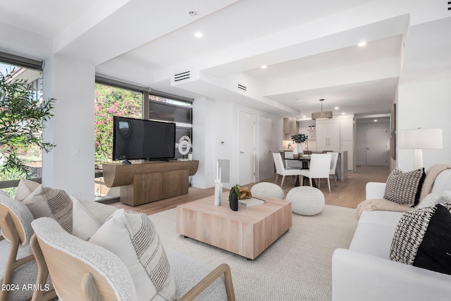 living room featuring a raised ceiling and light hardwood / wood-style flooring