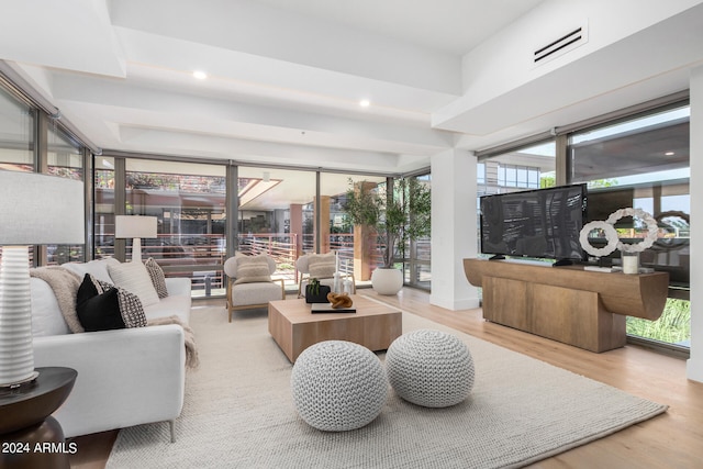 living room featuring plenty of natural light and light wood-type flooring