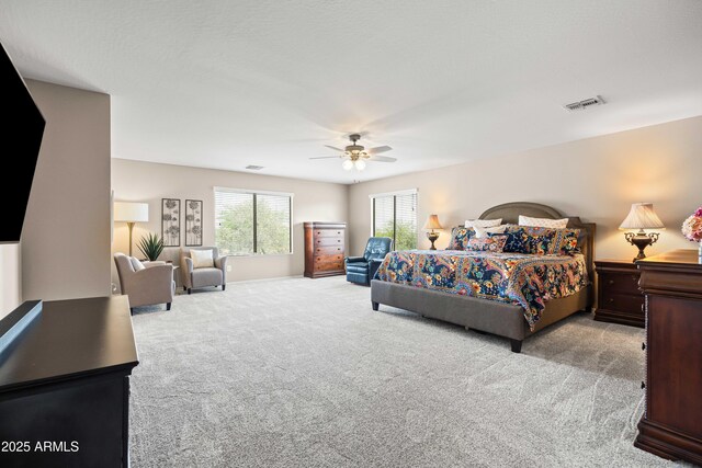 3488 N Lady Lake Ln, Casa Grande, AZ 85122 - carpeted bedroom with ceiling fan