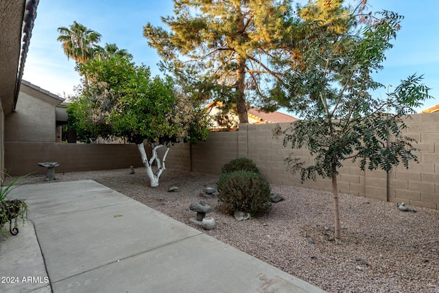 view of yard featuring a patio area