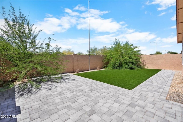 view of yard featuring a fenced backyard and a patio area