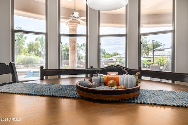 interior space with ceiling fan and a healthy amount of sunlight