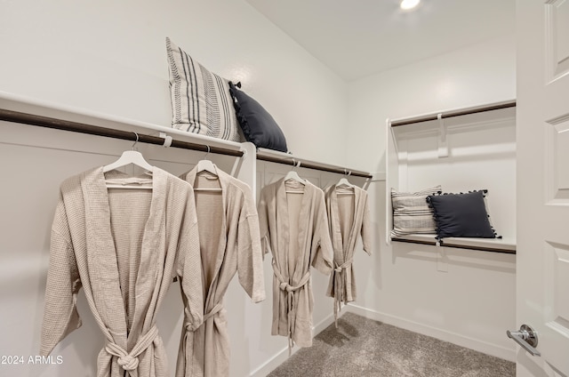 walk in closet with carpet floors