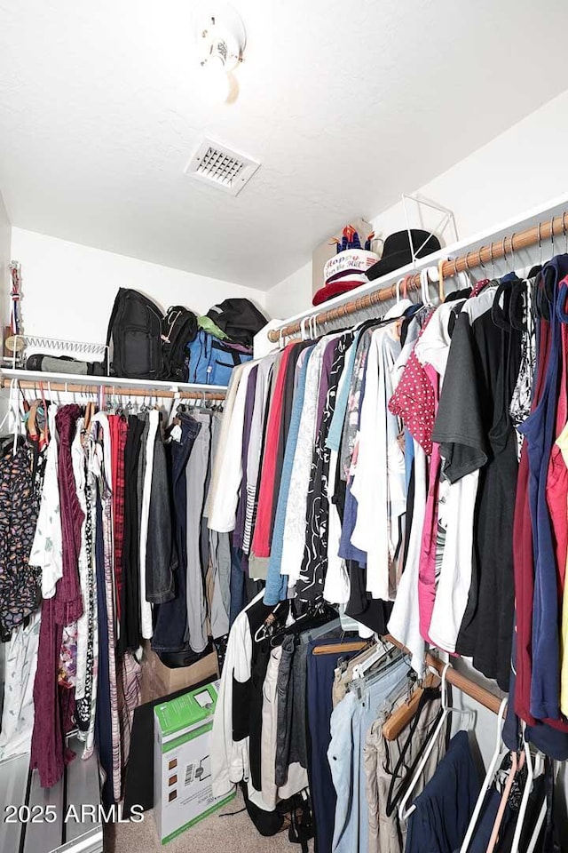 spacious closet featuring carpet