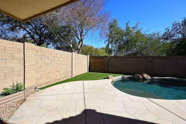 view of pool with a patio area