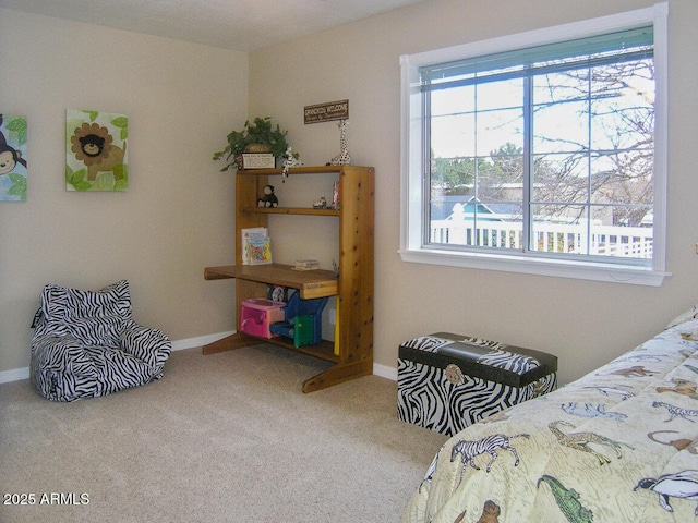 bedroom with carpet floors