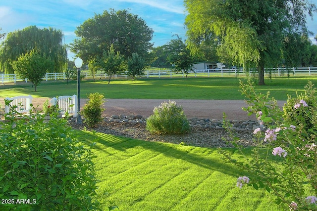 view of property's community with a yard