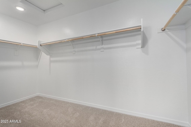 spacious closet featuring attic access and carpet flooring