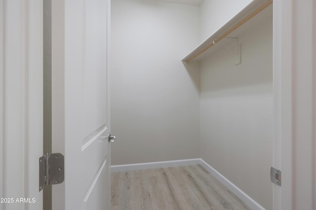 spacious closet featuring light wood-type flooring