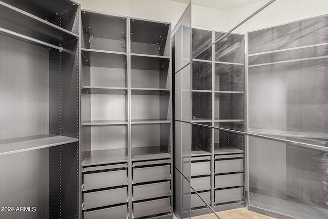 view of spacious closet