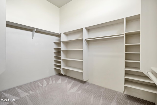 2300 E Sanoque Ct, Gilbert, AZ 85298 - spacious closet with carpet floors