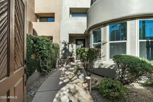 view of exterior entry with stucco siding