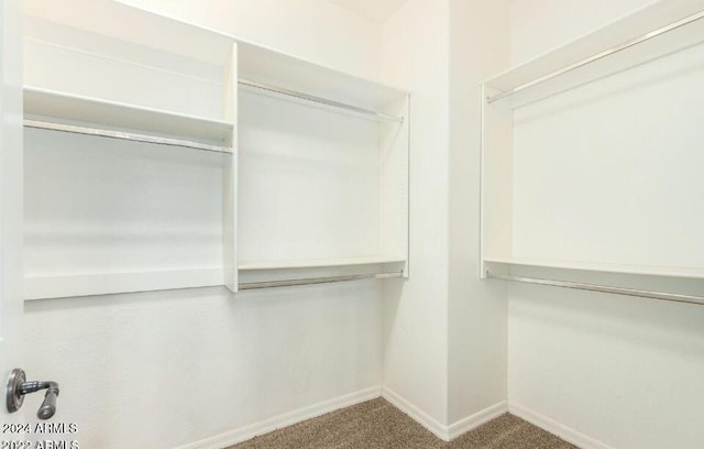 3935 E Rough Rider Rd Unit 1101, Phoenix, AZ 85050 - spacious closet featuring carpet