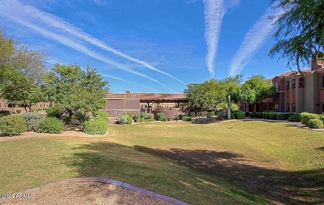 3935 E Rough Rider Rd Unit 1101, Phoenix, AZ 85050 - view of grassy yard
