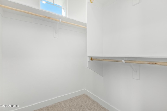 spacious closet featuring carpet