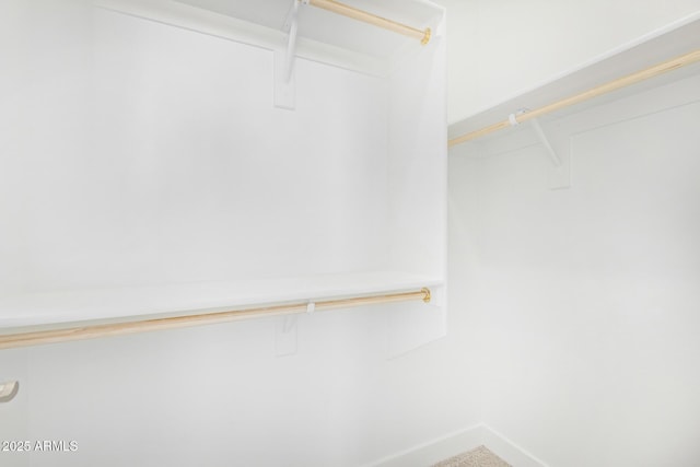 view of walk in closet