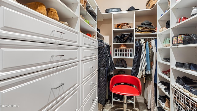 view of walk in closet