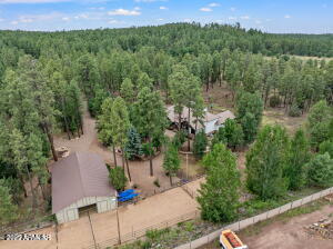 birds eye view of property featuring a wooded view