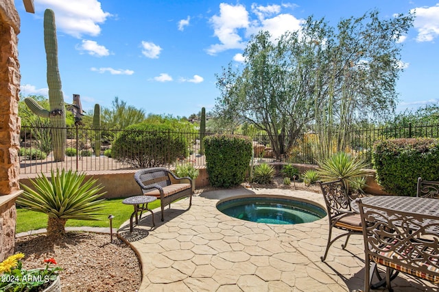 view of pool featuring a patio