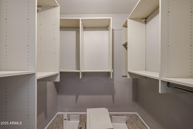 view of spacious closet