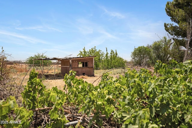2921 N 103rd Ave, Avondale, AZ 85392 - view of yard featuring a rural view and an outdoor structure