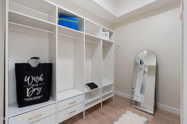908 W Pershing Ave, Phoenix, AZ 85029 - walk in closet featuring light wood finished floors