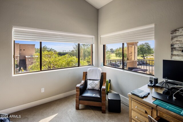 living area featuring light colored carpet