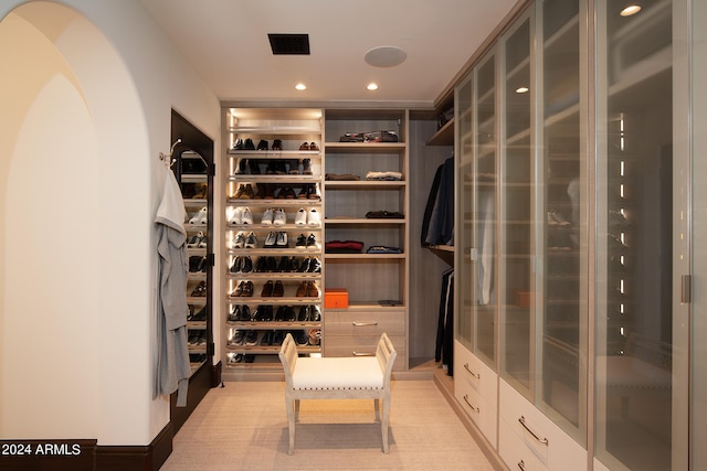 view of walk in closet