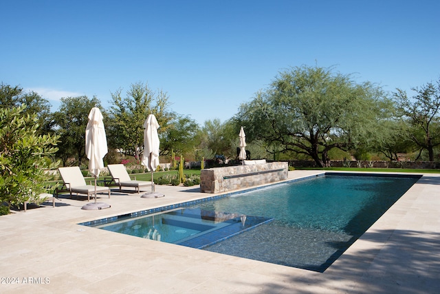 view of pool with a patio