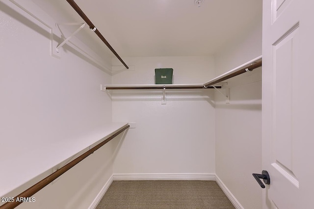 11333 N 92nd St Unit 1118, Scottsdale, AZ 85260 - spacious closet with carpet floors