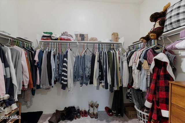 spacious closet with carpet floors