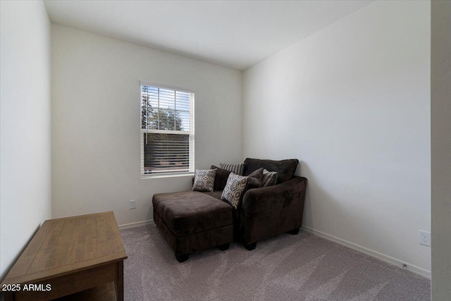 sitting room featuring carpet floors