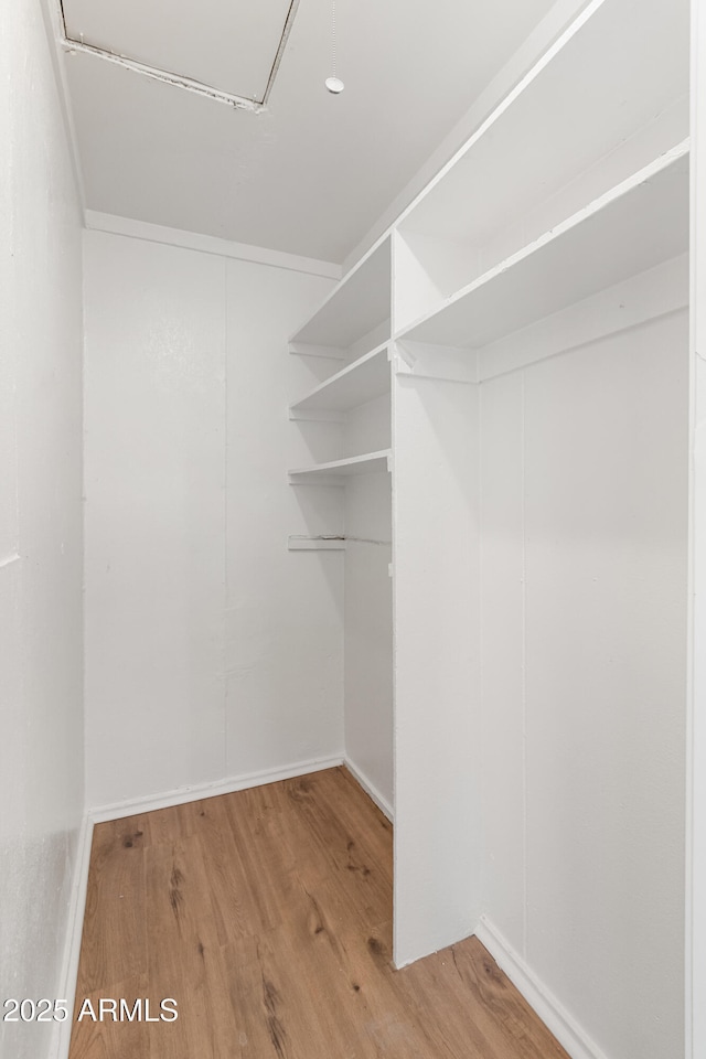 walk in closet featuring hardwood / wood-style floors