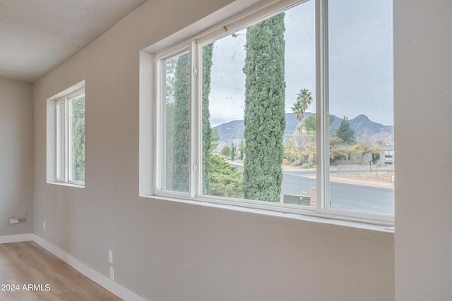 spare room with a wealth of natural light, a mountain view, and light hardwood / wood-style floors