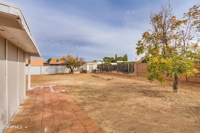 view of yard featuring a shed