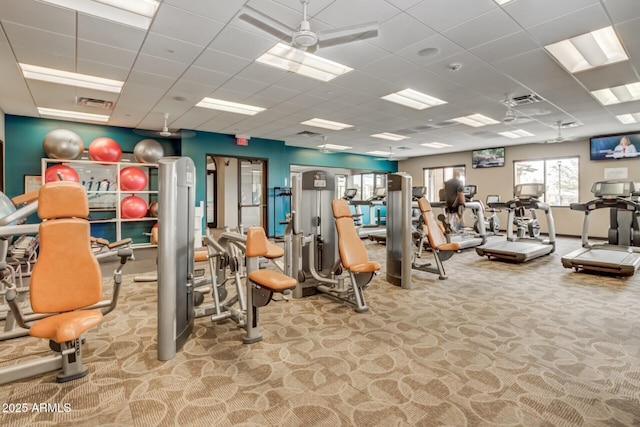 workout area with light carpet, a paneled ceiling, and ceiling fan