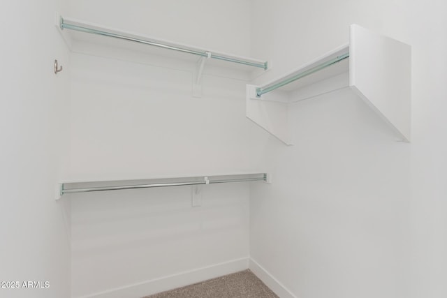 spacious closet with carpet flooring