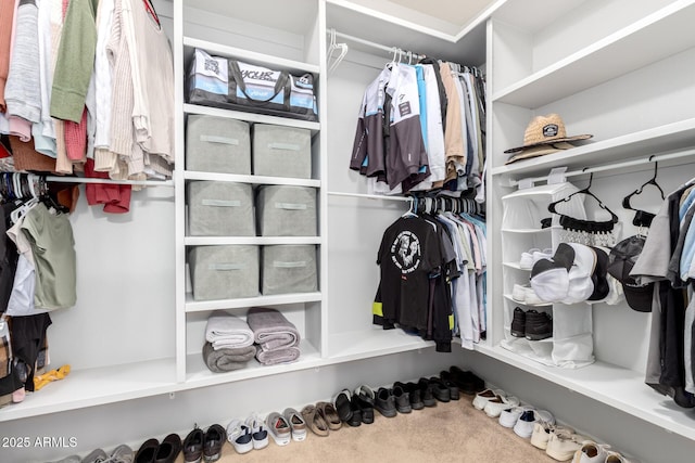 walk in closet featuring carpet floors